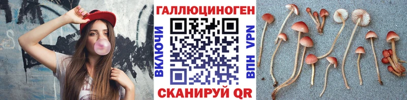 Галлюциногенные грибы MAGIC MUSHROOMS  Купить где  Черногорск 